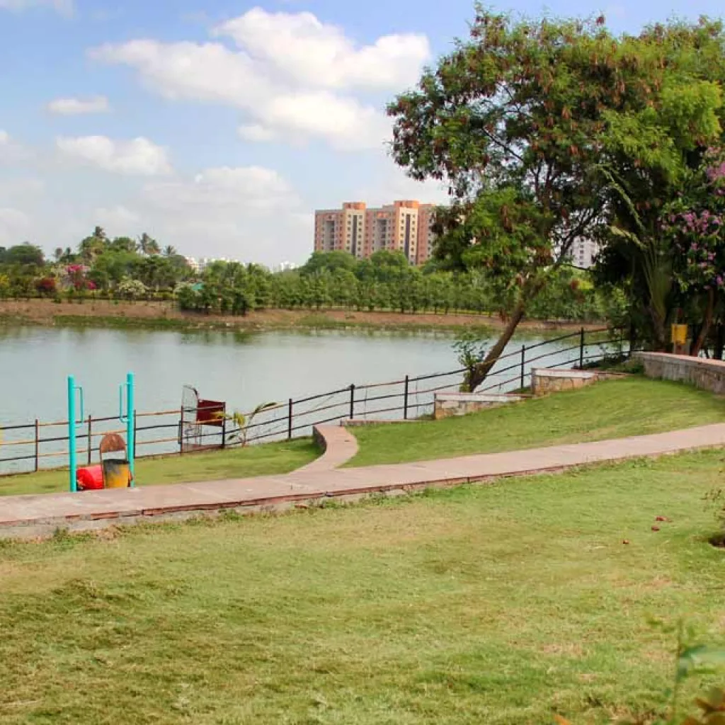 Sneh Rashmi Botanical Garden - Ugat