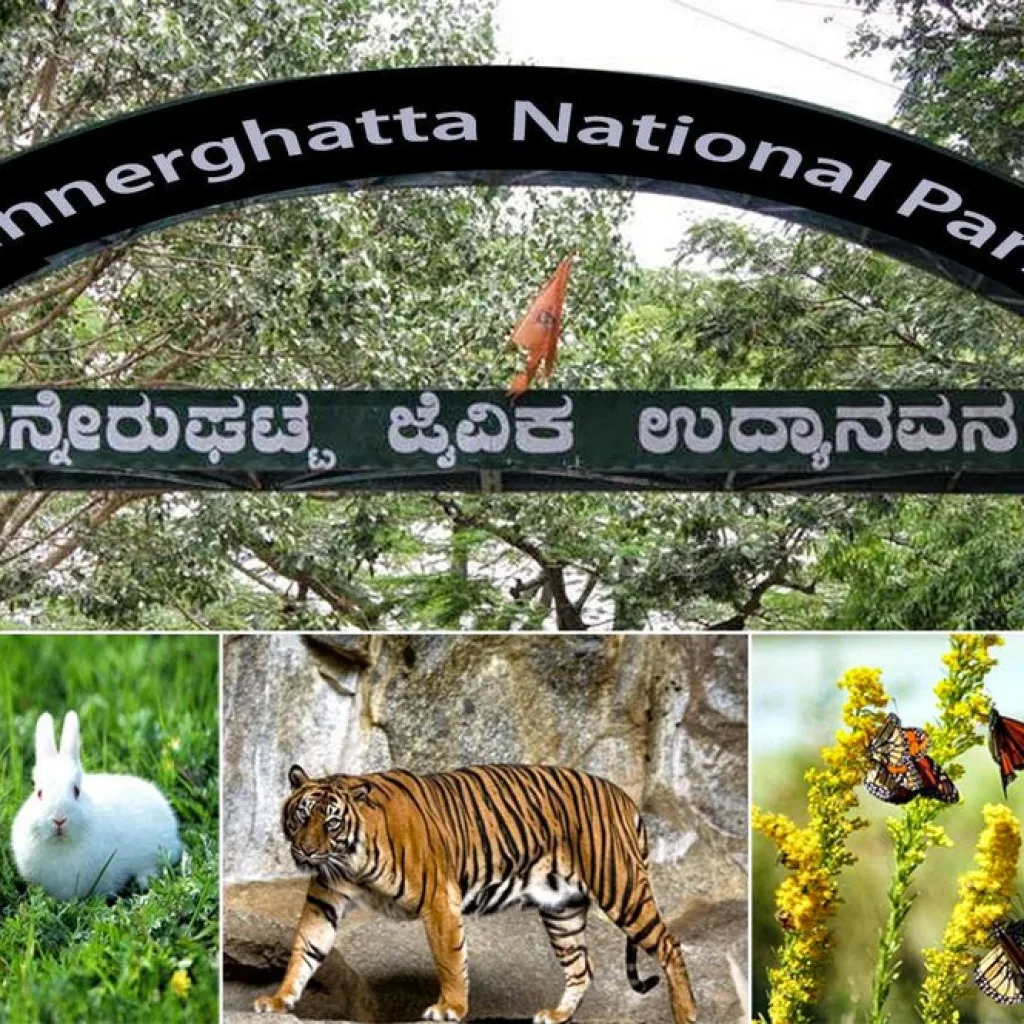 Bannerghatta National Park