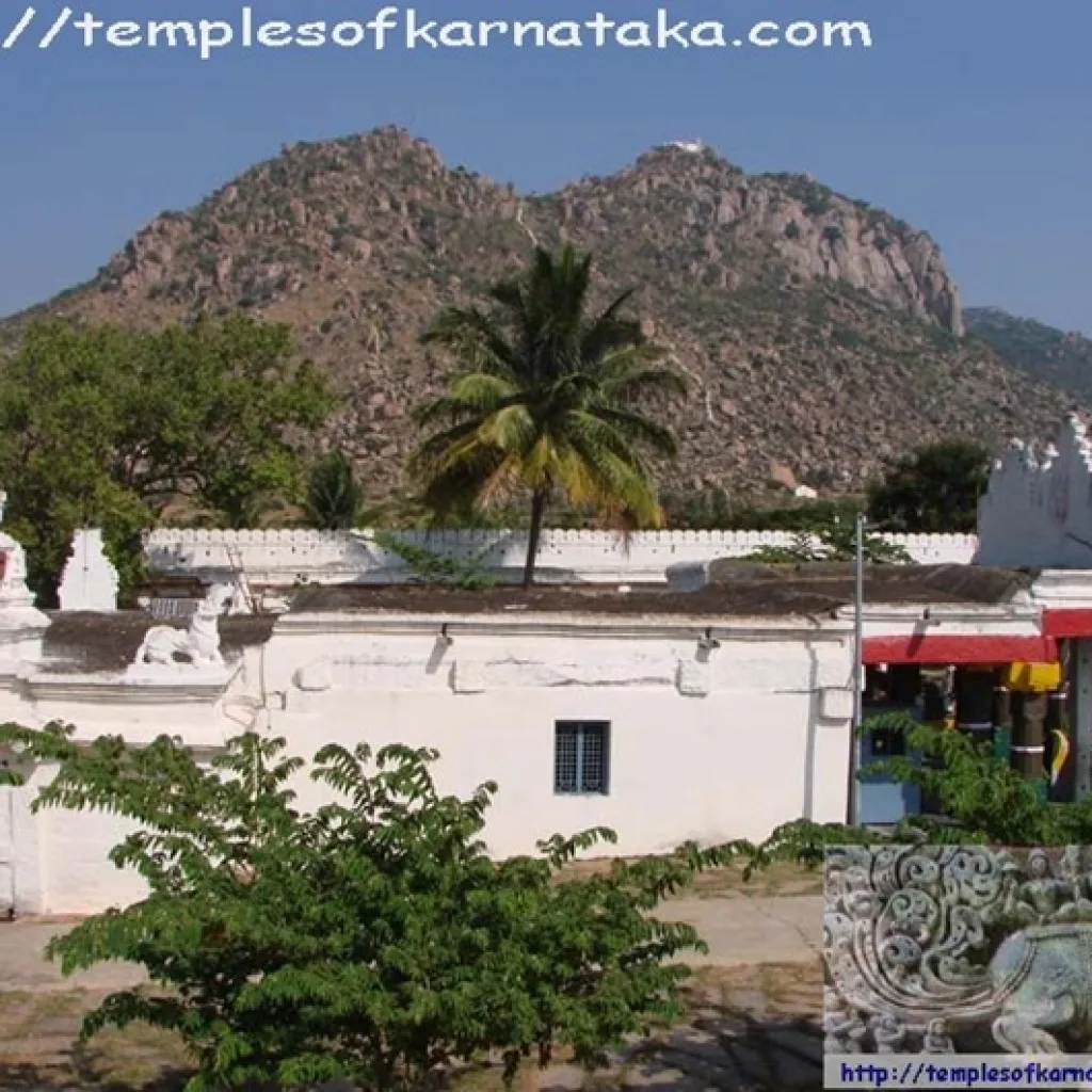 Amaragiri Malekal Tirupati Temple - Hassan