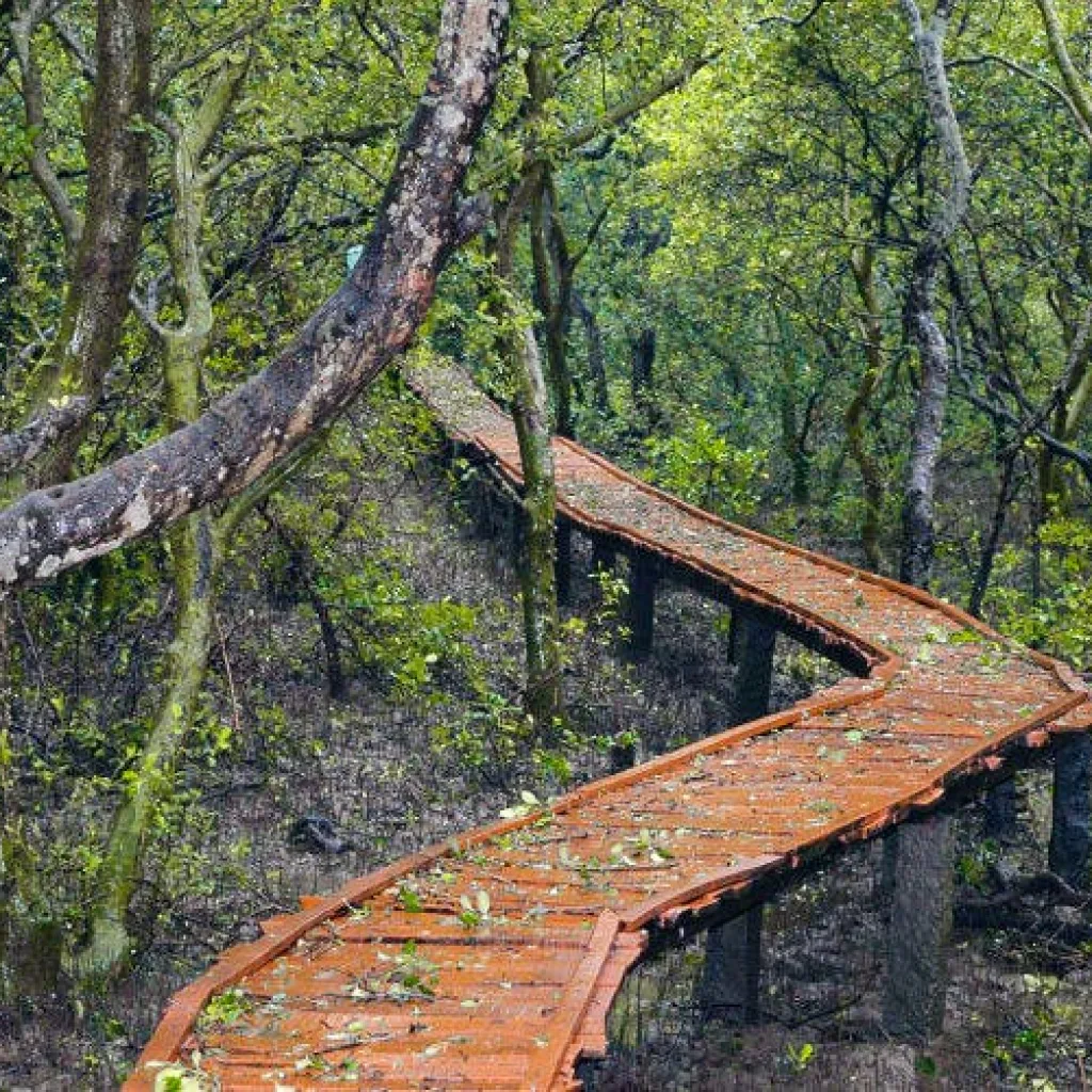 Place To Visit In East Godavari Distirct