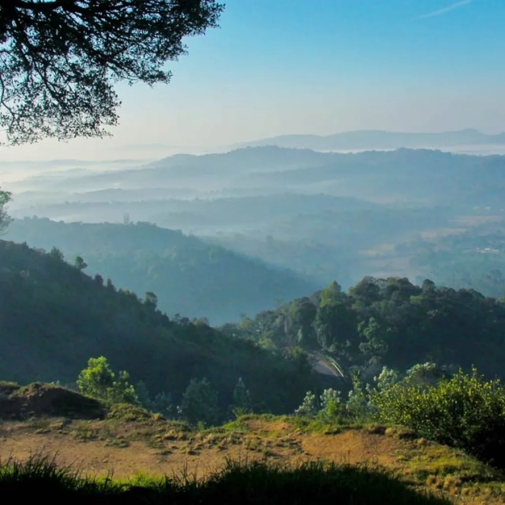 Raja's Seat - Madikeri