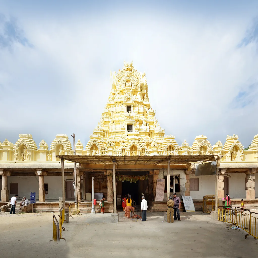 Sri CheluvaNarayana Swamy Temple Sevas