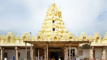 Sri CheluvaNarayana Swamy Temple Sevas