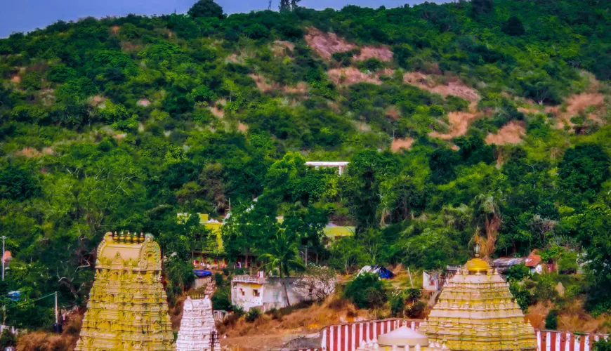 Sri Varahalakshmi Narasimha Swamy Temple - Simhachalam