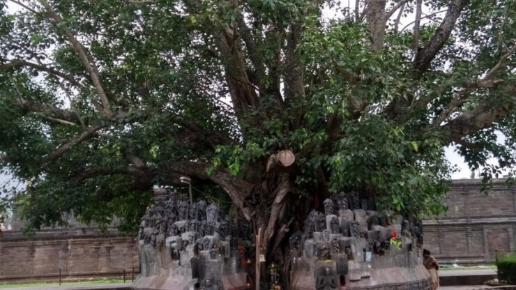 Sri Manikyamba Sametha Sri Bhimeswara Swamy Temple