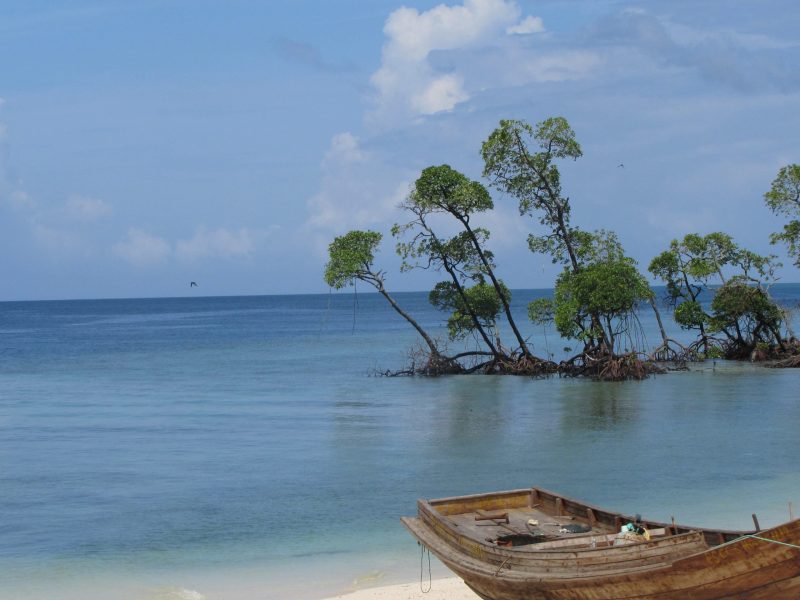 Andaman Tour Package scaled