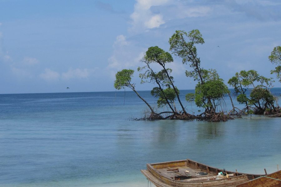 Amazing Andaman From Delhi