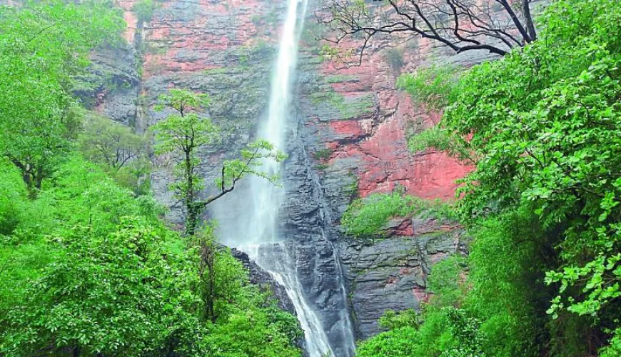 Jayashankar Bhupalpally District
