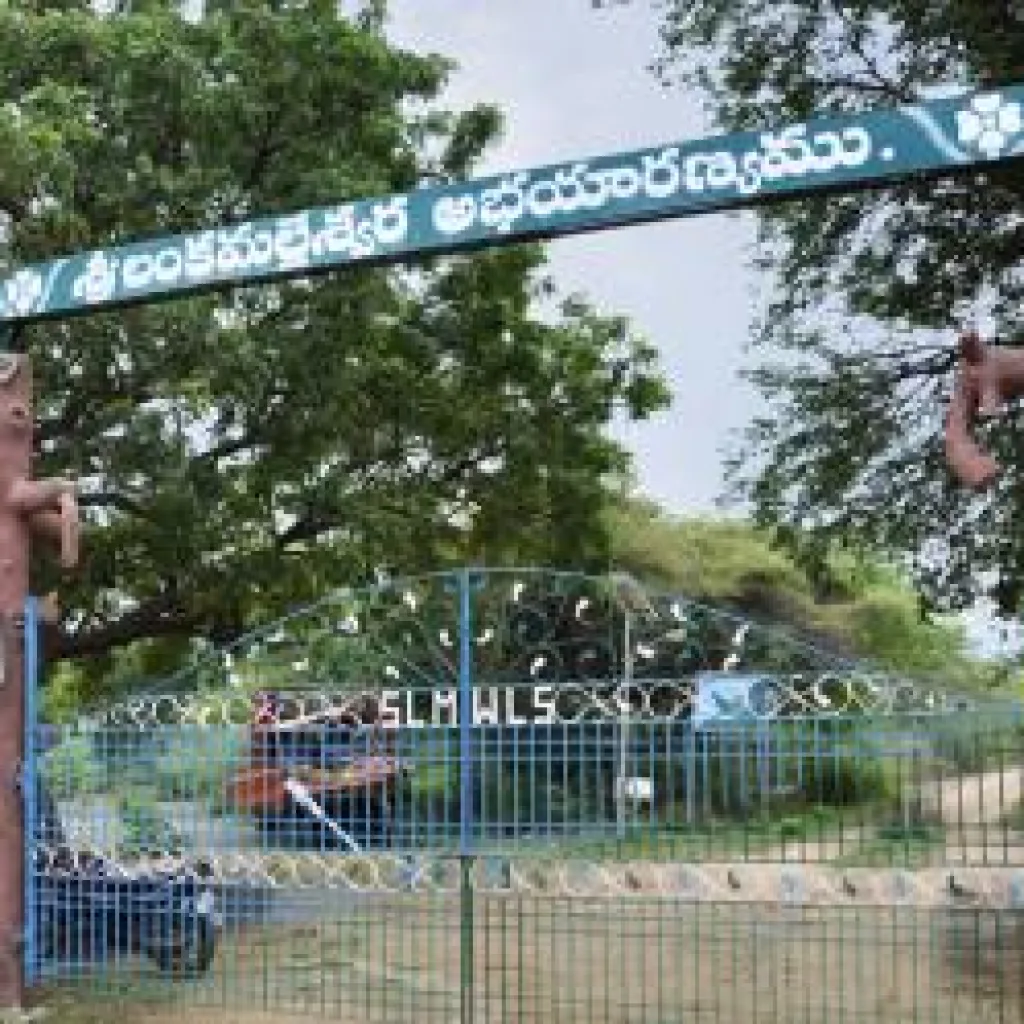 Sri Lankamalleswara Wildlife Sanctuary - kadapa