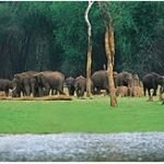 Ravishing Kerala