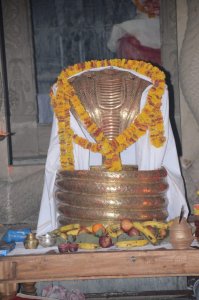 Nagoba Jatara