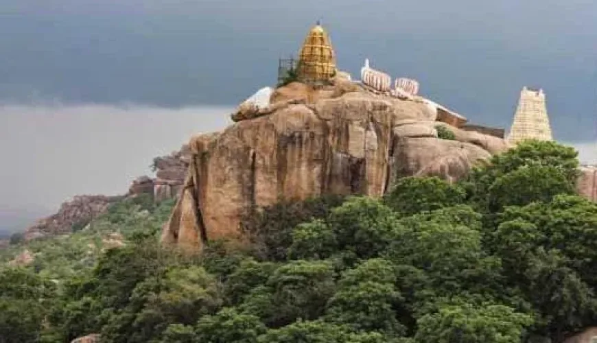 Sri Swayambhu Lakshmi Venkateswara Swamy Temple